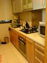 The Pier at Robertson (D9), Apartment #136680752